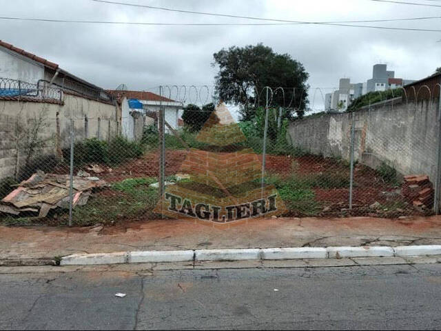 #6610 - Área para Locação em São Paulo - SP - 1