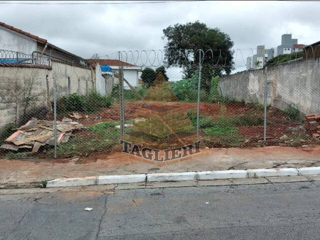 #6610 - Área para Locação em São Paulo - SP - 3