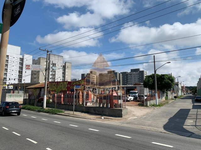 #6748 - Galpão para Venda em São Paulo - SP - 2