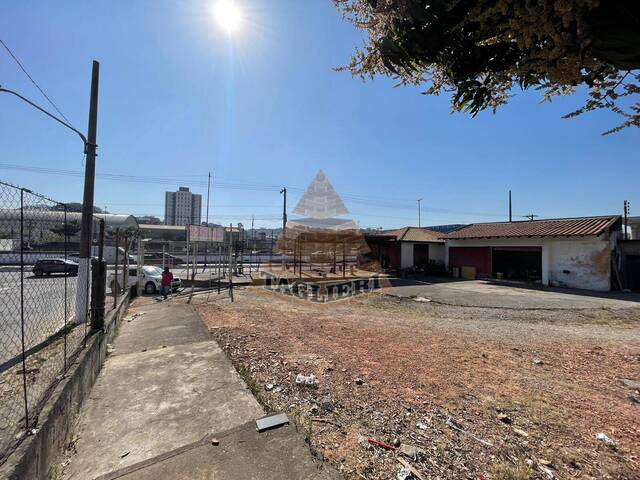 Área para Locação em São Paulo - 4