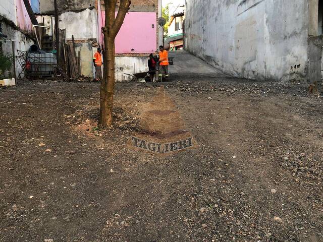 Terreno para Venda em São Paulo - 2