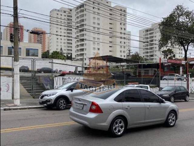 #4521 - Terreno para Locação em São Paulo - SP - 1