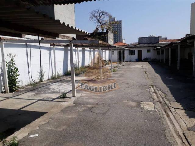 #7433 - Terreno para Venda em São Paulo - SP - 1