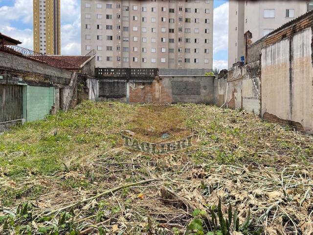 #7558 - Terreno para Venda em São Paulo - SP - 2