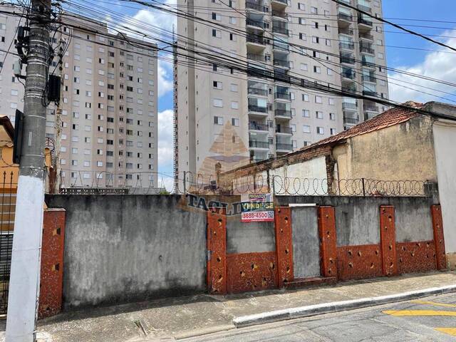 #7558 - Terreno para Venda em São Paulo - SP - 3