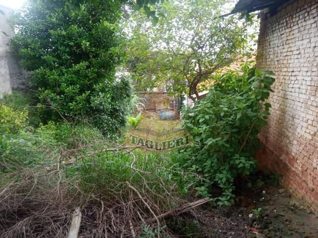 Terreno para Venda em São Paulo - 5