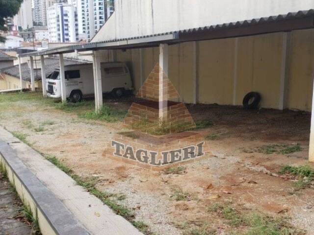 #8819 - Terreno para Venda em São Paulo - SP - 3