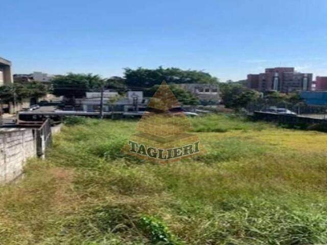 #8076 - Terreno para Venda em São Paulo - SP - 3