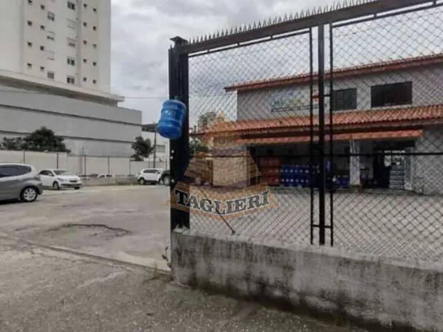 Terreno para Locação em São Paulo - 4
