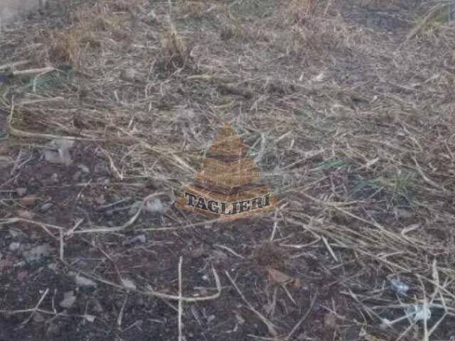 #8974 - Terreno para Venda em São Paulo - SP - 3