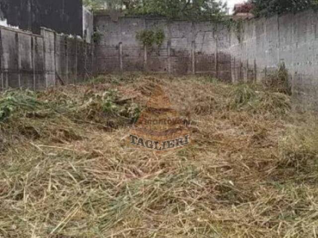 Terreno para Venda em São Paulo - 4
