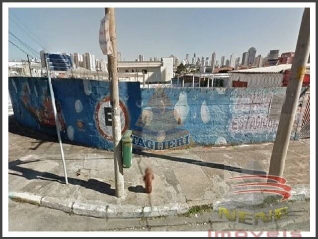 #7248 - Terreno para Venda em São Paulo - SP - 3